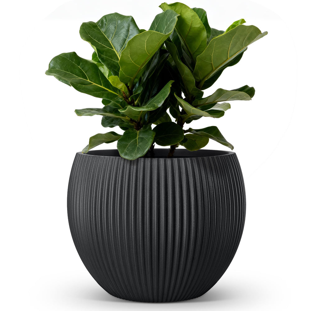 Large Plant Pots with Drainage – Indoor & Outdoor