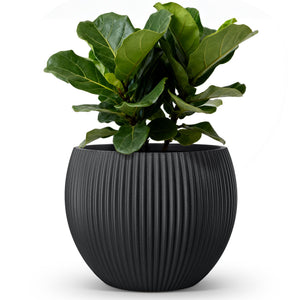 Large Plant Pots with Drainage – Indoor & Outdoor