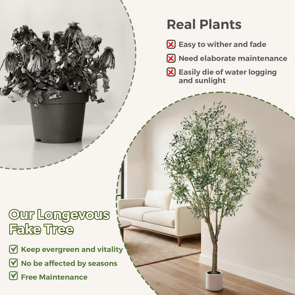 Artificial Olive Tree with White Planter – Indoor Faux Plant