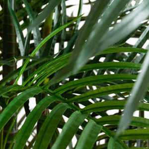 Artificial Areca Palm Tree — UV Resistant Indoor & Outdoor
