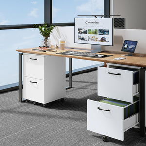 2-Drawer Rolling Filing Cabinet with Printer Stand