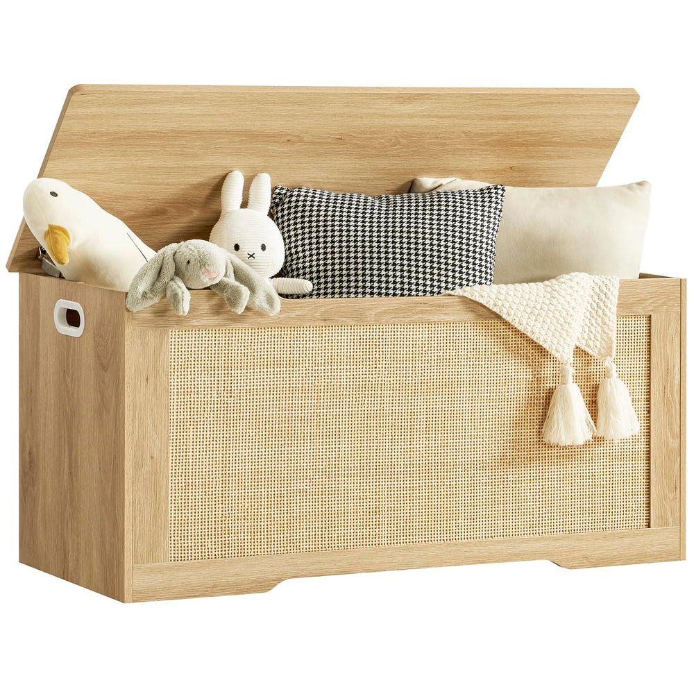 Storage Chest with Safety Hinges