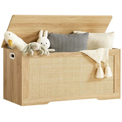 Storage Chest with Safety Hinges