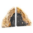 Petrified Wood Bookends Set