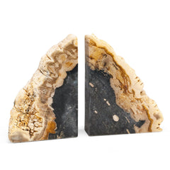 Petrified Wood Bookends Set