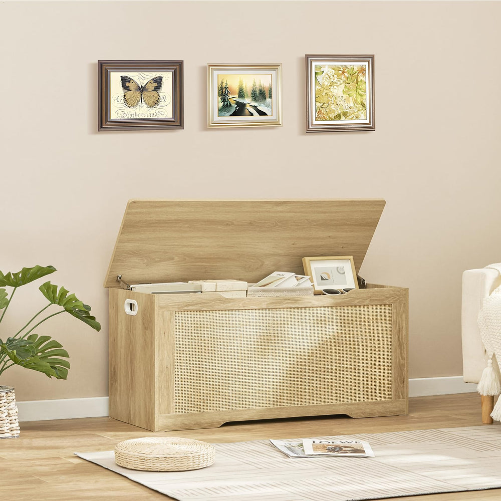 Storage Chest with Safety Hinges