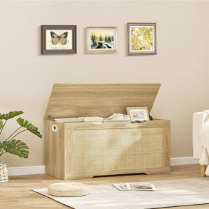 Storage Chest with Safety Hinges