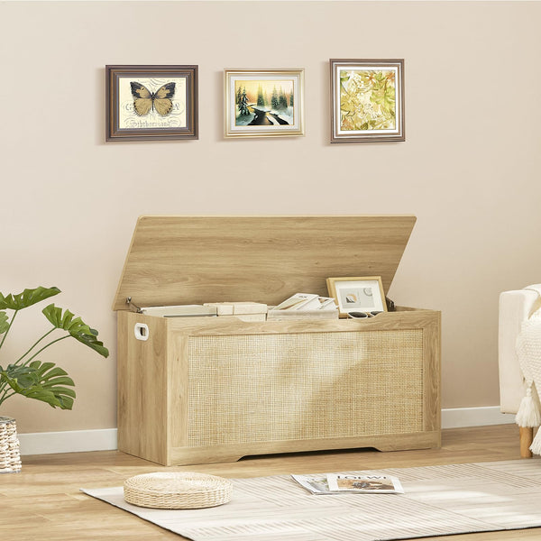 Storage Chest with Safety Hinges