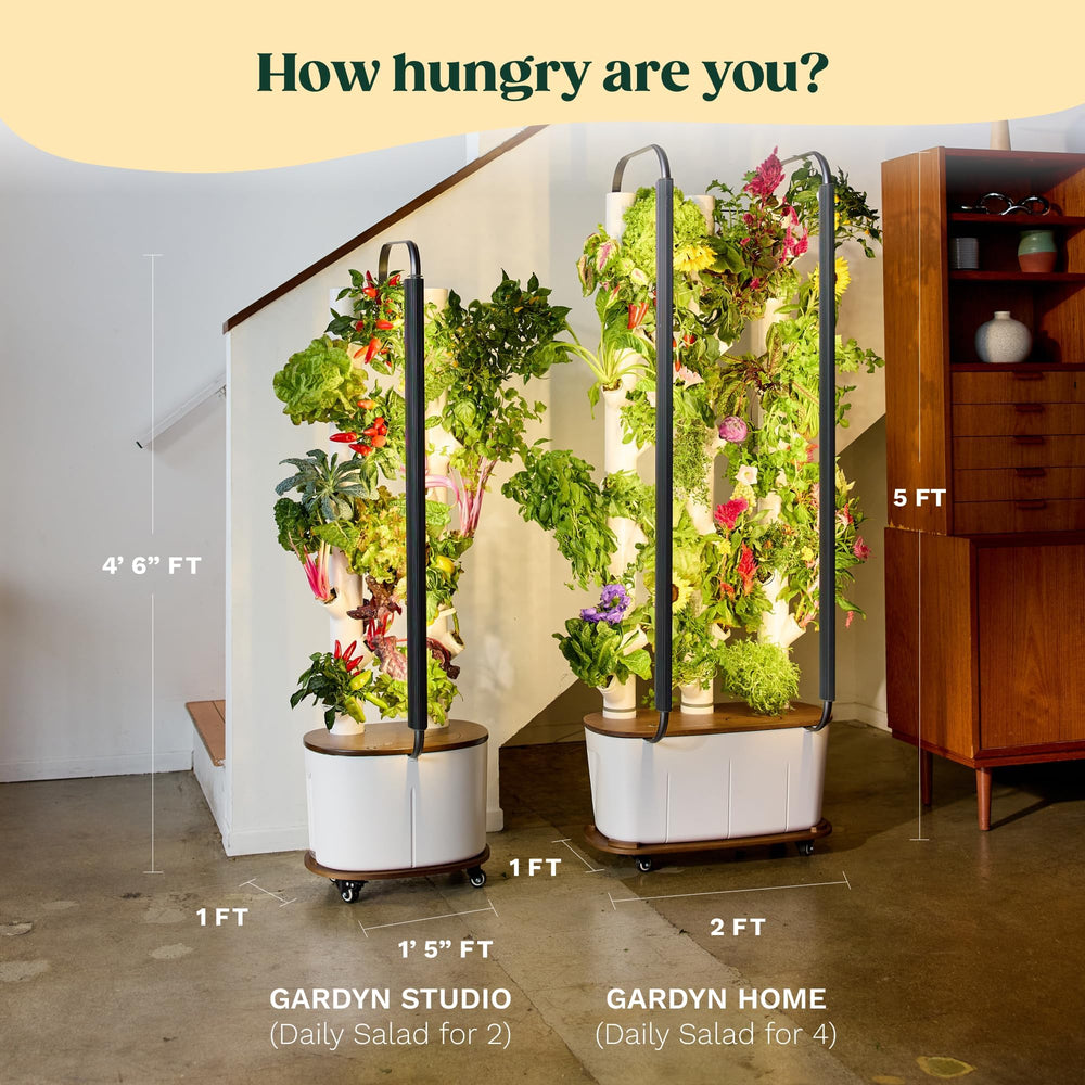 Indoor Hydroponic Growing System with LED Grow Lights