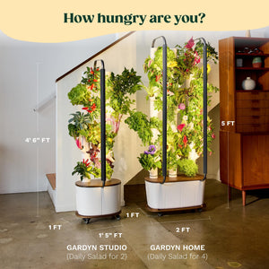 Indoor Hydroponic Growing System with LED Grow Lights
