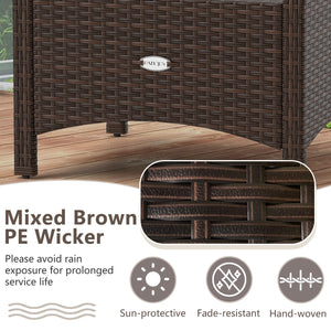 Outdoor PE Rattan Ottoman Set of 2 with Removable Cushions