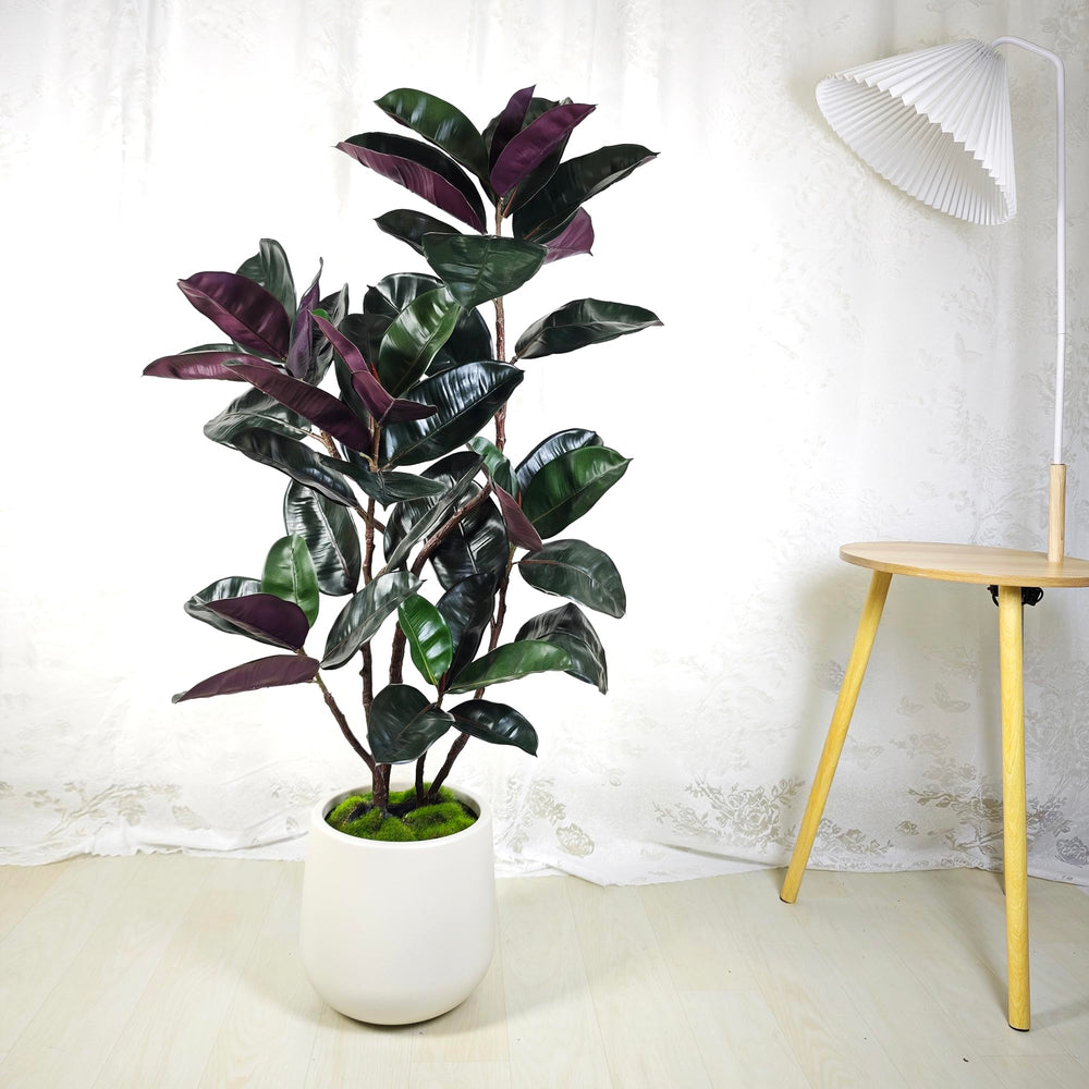 Artificial Rubber Tree with White Pot, 54.5" Tall
