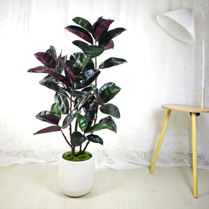 Artificial Rubber Tree with White Pot, 54.5" Tall