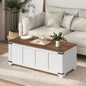Storage Chest & Toy Box with Safety Hinges