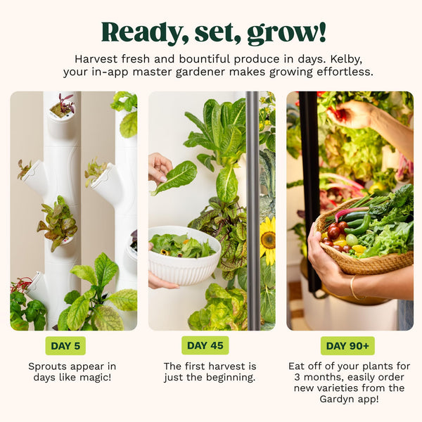 Indoor Hydroponic Growing System with LED Grow Lights