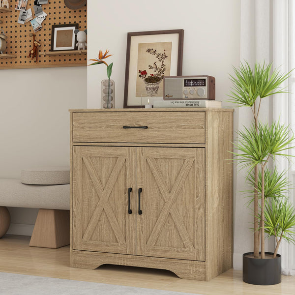 Wooden Cabinet with Drawer and 2-Door Storage
