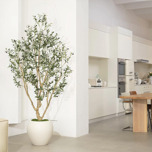 Artificial Olive Tree — Indoor Faux Plant