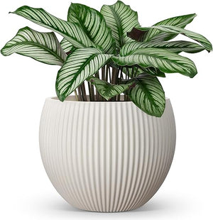 Large Plant Pots with Drainage – Indoor & Outdoor