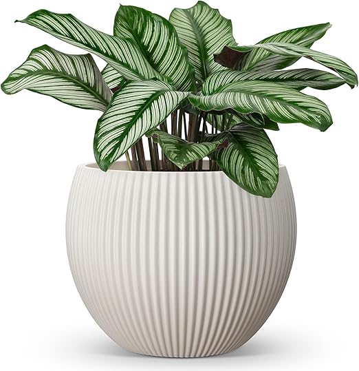 Large Plant Pots with Drainage – Indoor & Outdoor