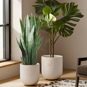 Artificial Snake Plant with Thick PE Leaves – Indoor & Outdoor Faux Sansevieria