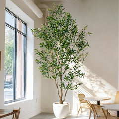 Artificial Olive Tree Indoor with White Pot & Moss