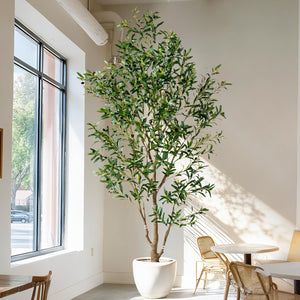 Artificial Olive Tree Indoor with White Pot & Moss