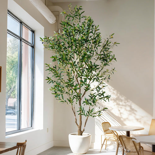 Artificial Olive Tree Indoor with White Pot & Moss