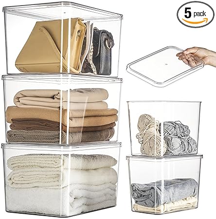 Clear Lidded Plastic Storage Bins Set of 5