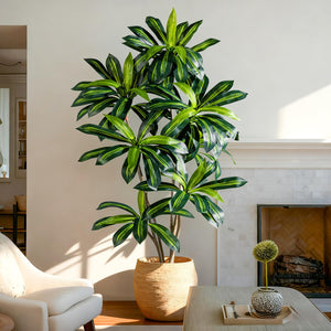 Artificial Dracaena Tree with White Planter Pot
