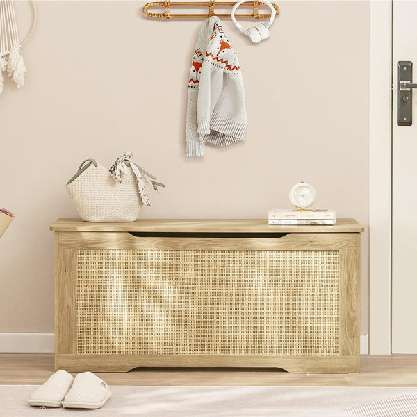 Storage Chest with Safety Hinges