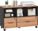 2-Drawer Lateral File Cabinet with Lock