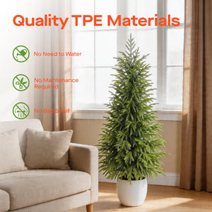 Artificial Norfolk Pine Tree 2-Pack — Indoor & Outdoor Faux Potted Topiary