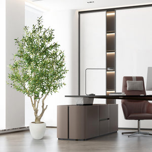 7.9 ft Artificial Olive Tree with White Planter