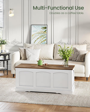 Storage Chest Bench with Lift Lid and Safety Hinge