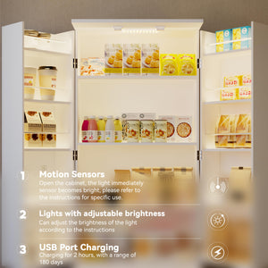 72" LED Kitchen Pantry Cabinet with Barn Doors