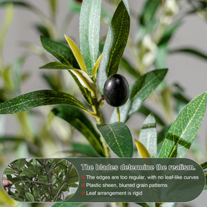 Artificial Olive Tree Indoor with White Pot & Moss