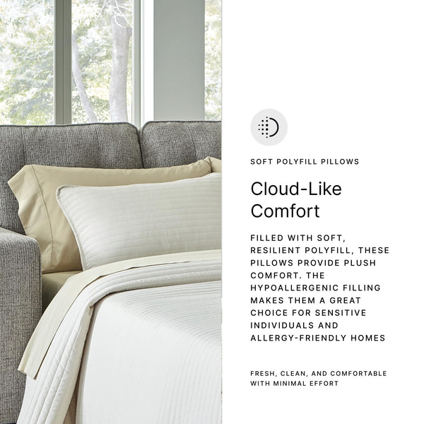Queen Sofa Sleeper with Memory Foam Mattress – Light Gray