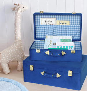 Velvet Storage Trunk Set of 2 with Gold Hardware