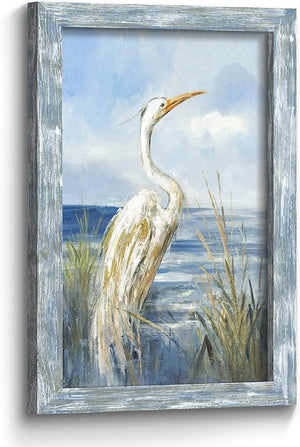Framed Coastal Seabird Wall Art Print