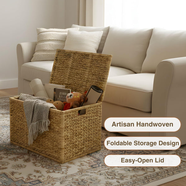 Wicker Storage Trunk with Lid