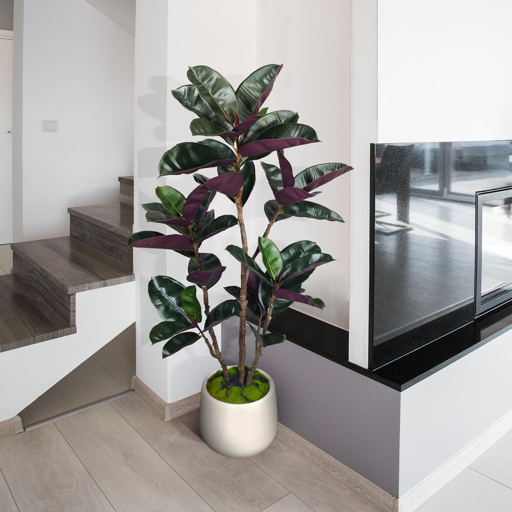 Artificial Rubber Tree with White Pot, 54.5" Tall