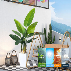 Bird of Paradise Artificial Plant 6FT with White Planter