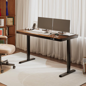 55-Inch Electric Standing Desk with Drawer & USB Charging