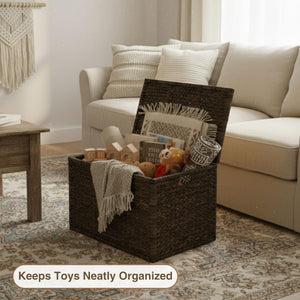 Wicker Storage Trunk with Lid