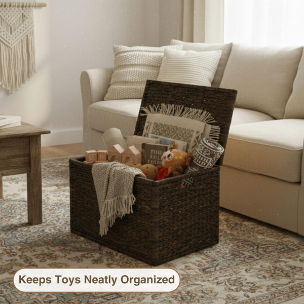 Wicker Storage Trunk with Lid