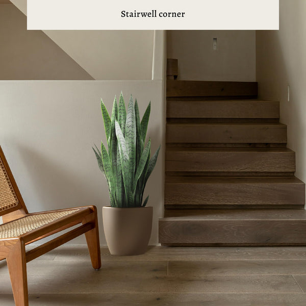 Artificial Snake Plant with Thick PE Leaves – Indoor & Outdoor Faux Sansevieria