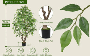 Large Artificial Ficus Tree with Realistic Leaves