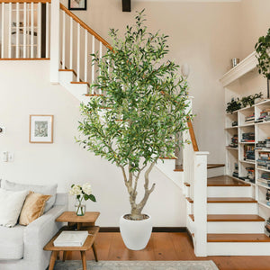 7.9 ft Artificial Olive Tree with White Planter