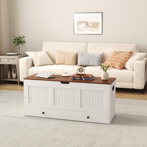 Lift-Top Storage Bench with 2 Drawers – White & Brown