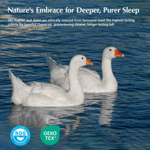 White Goose Down Comforter – All Season Duvet Insert